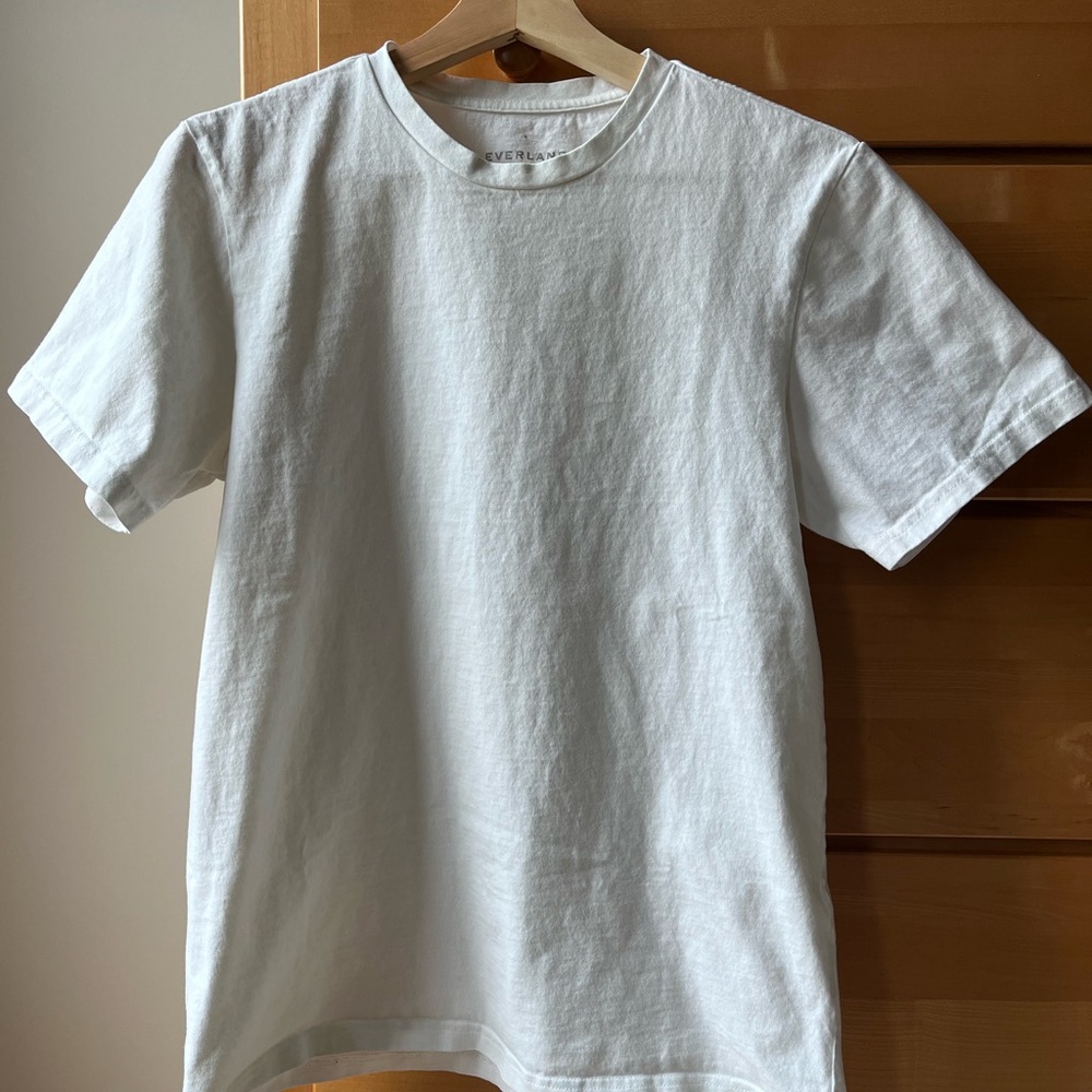 Everlane Premium Weight Tee in White